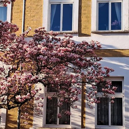 Ferienwohnung Rosi Naumburg (Saale) Exterior foto