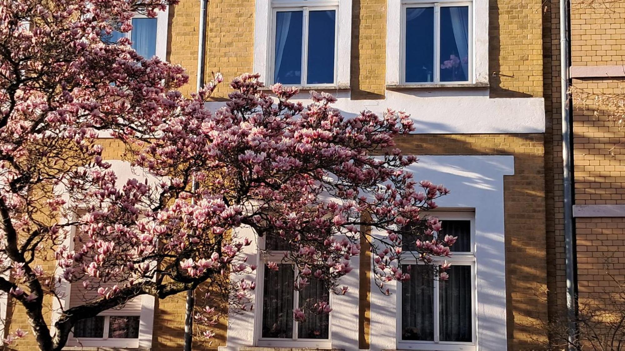 Ferienwohnung Rosi Naumburg (Saale) Exterior foto